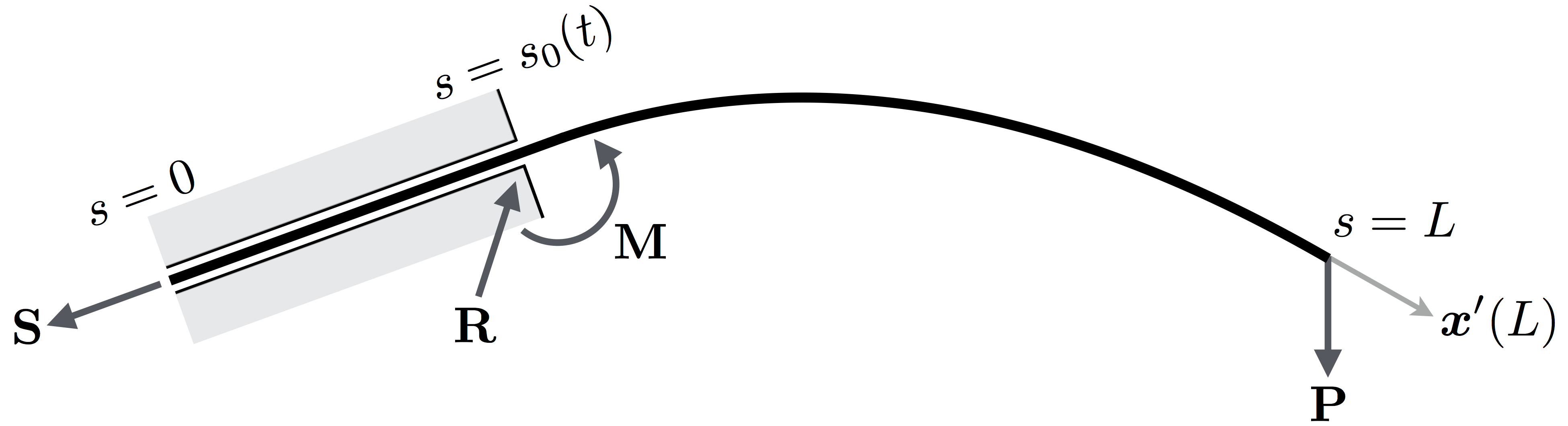 Partial constraint singularities in elastic rods – Geometry and ...